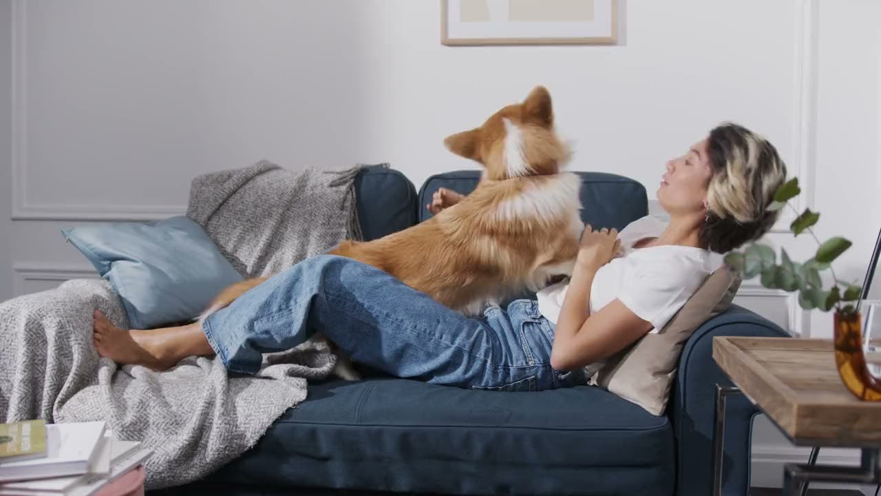 A smiling pet owner playing with her dog at home